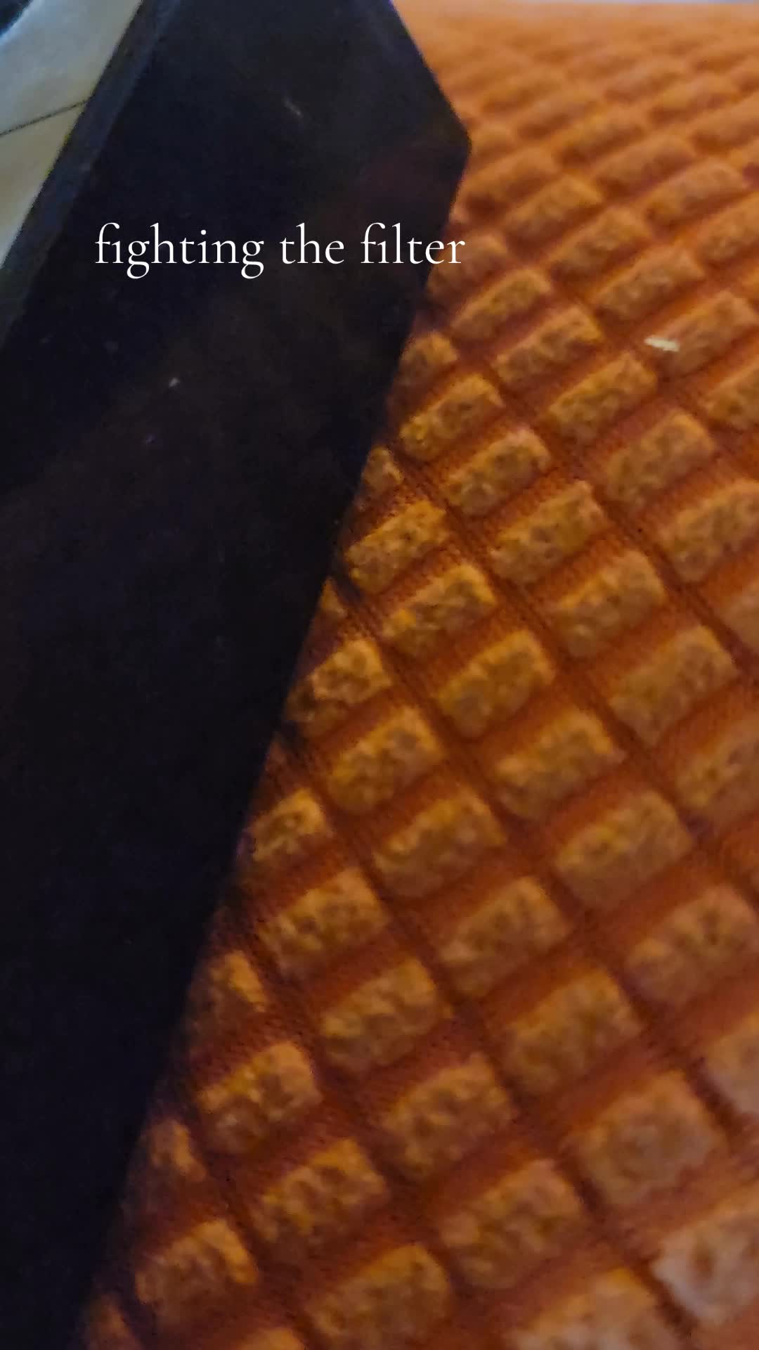 @turquoisetiger