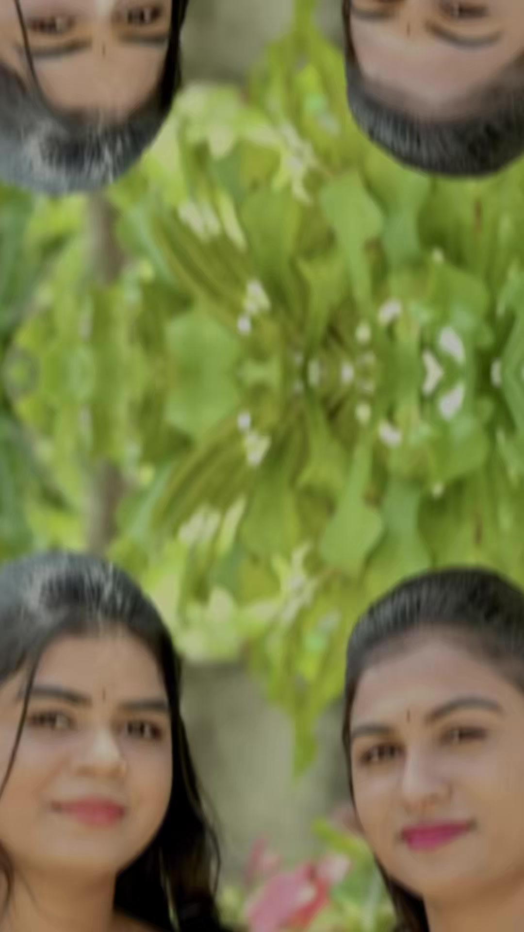 @vanu_ha🦋