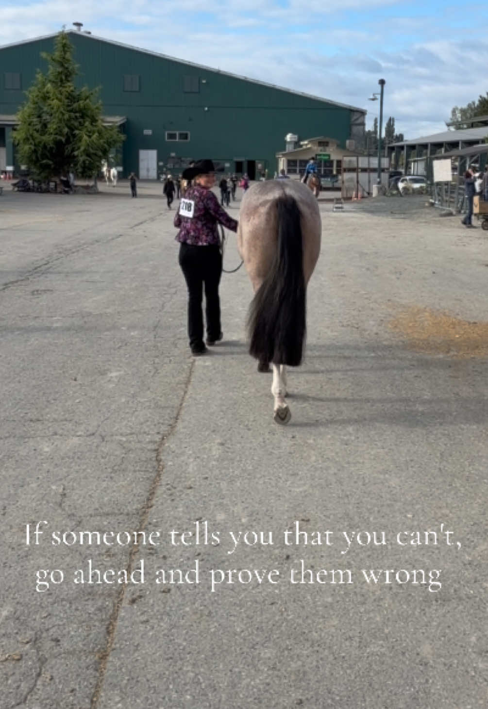 @Cait | Red Mare Owner