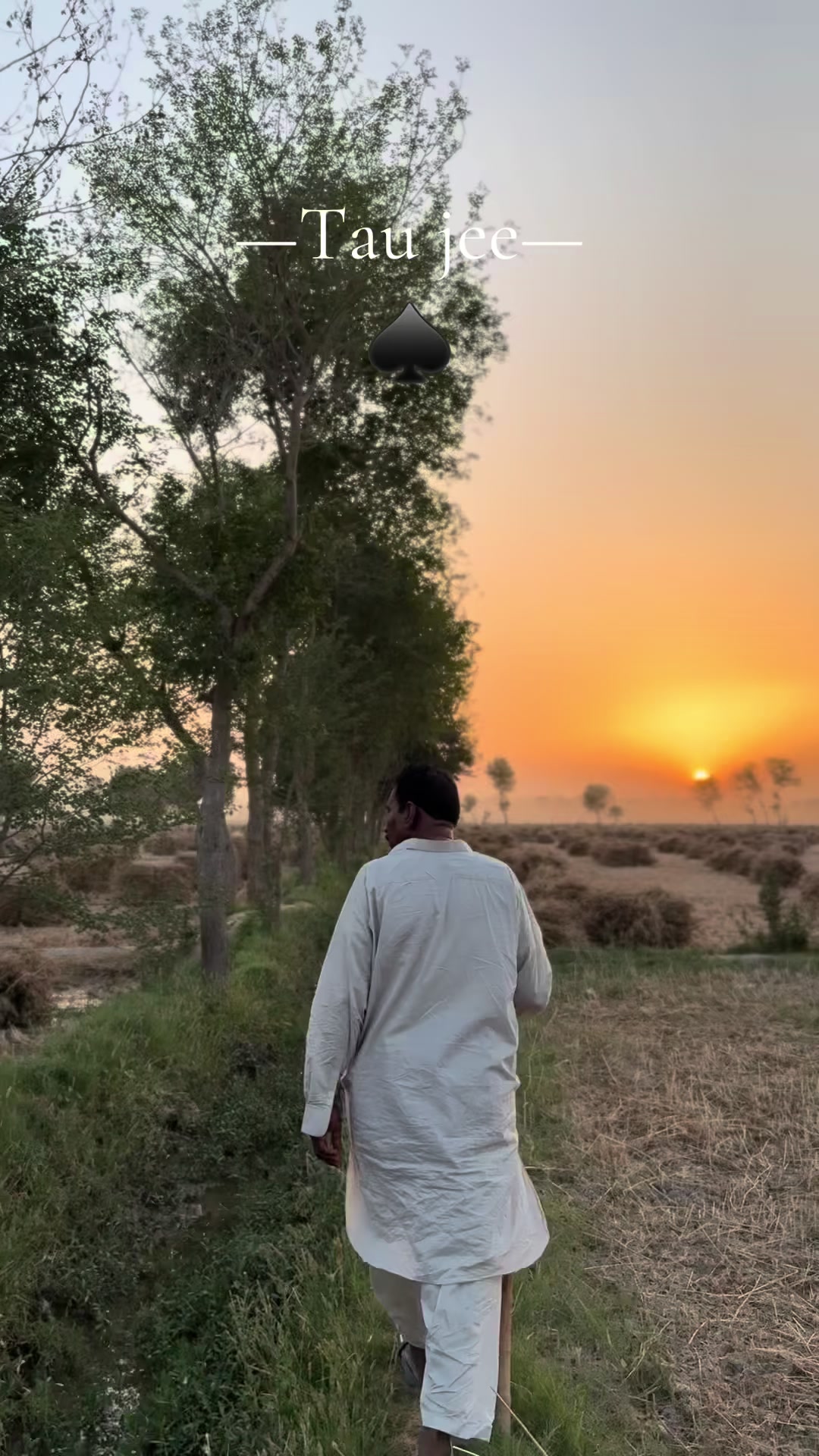 @taimoorasad07