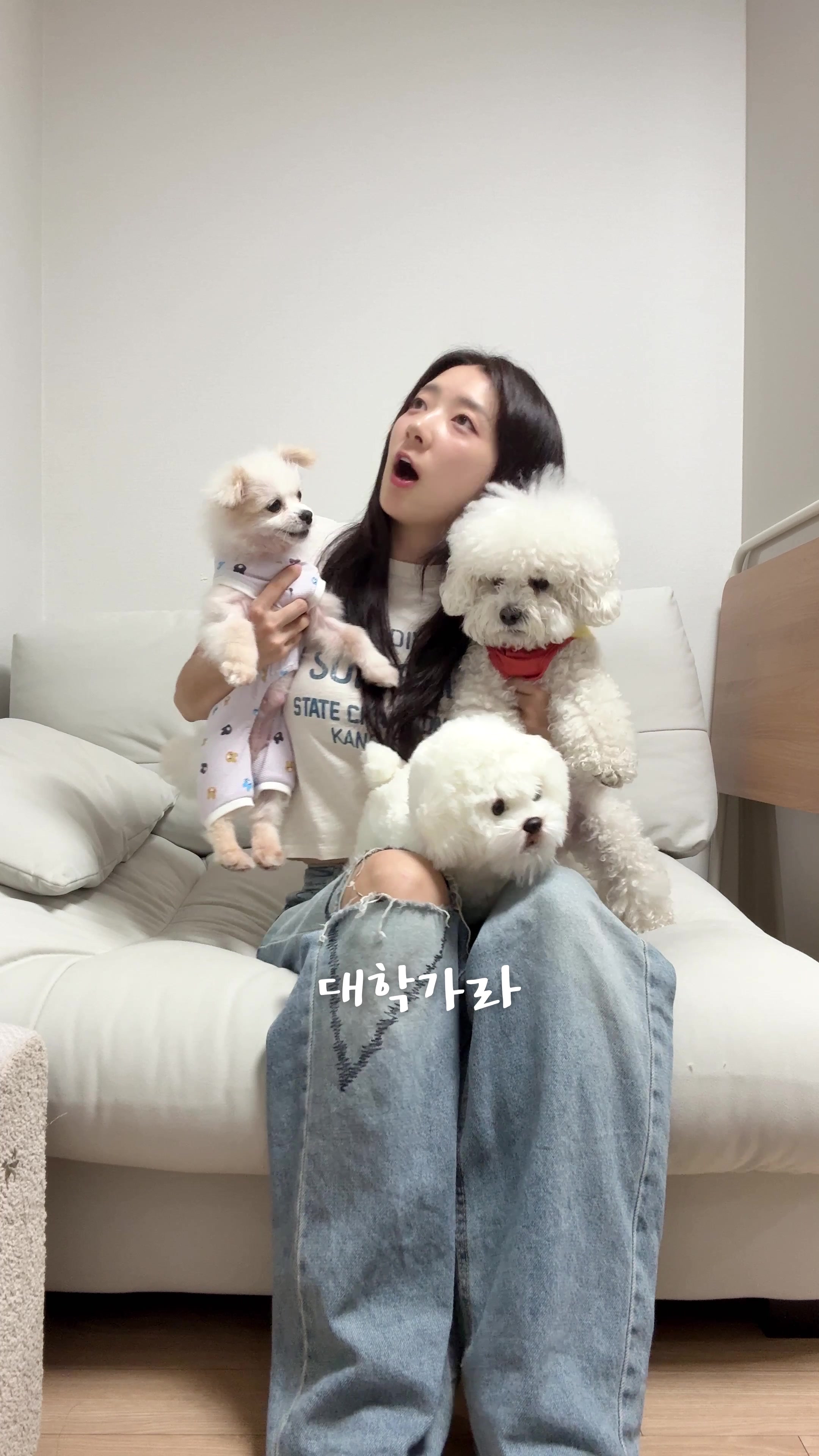 @시은니야