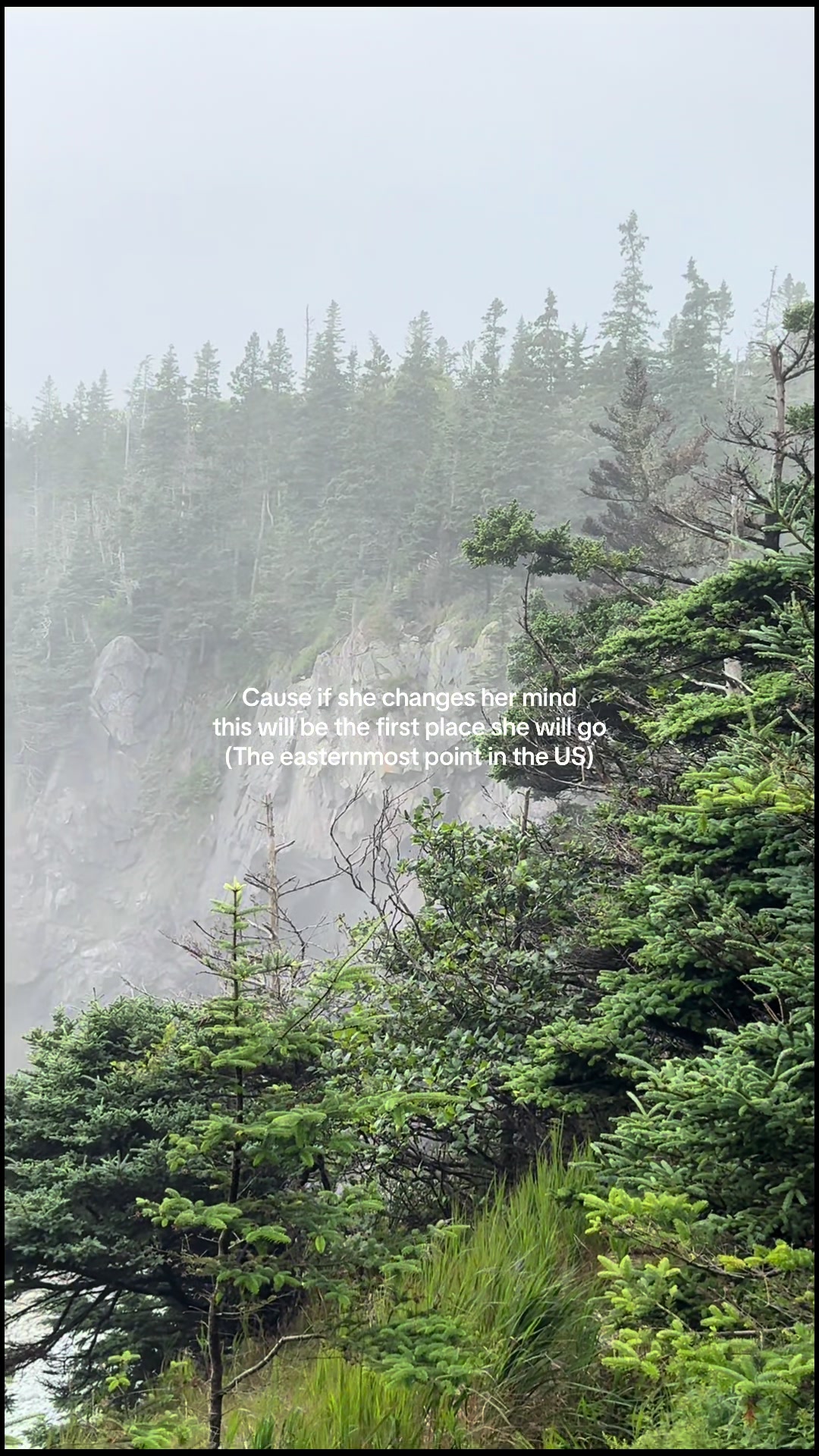 @Downeast Maine