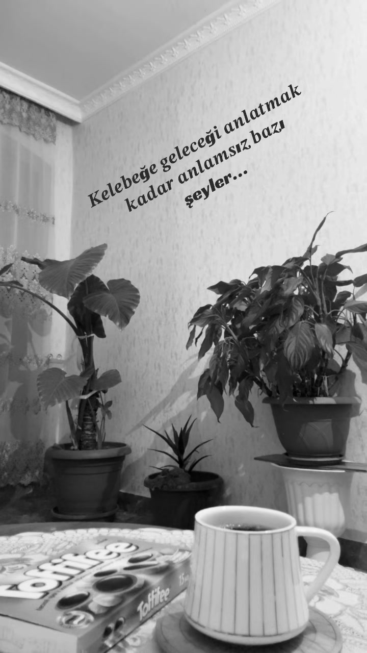 @Furshet_sartichala XoncaEvi