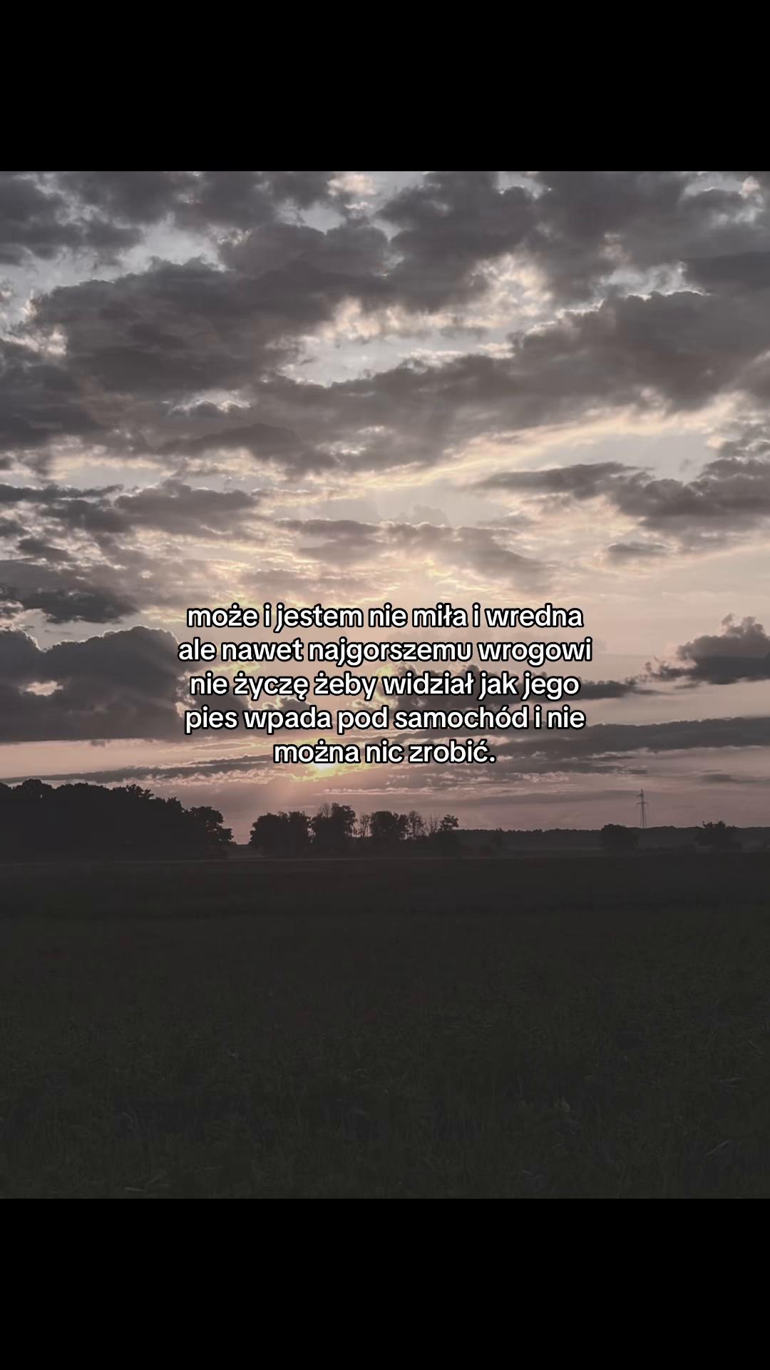 @🕊️