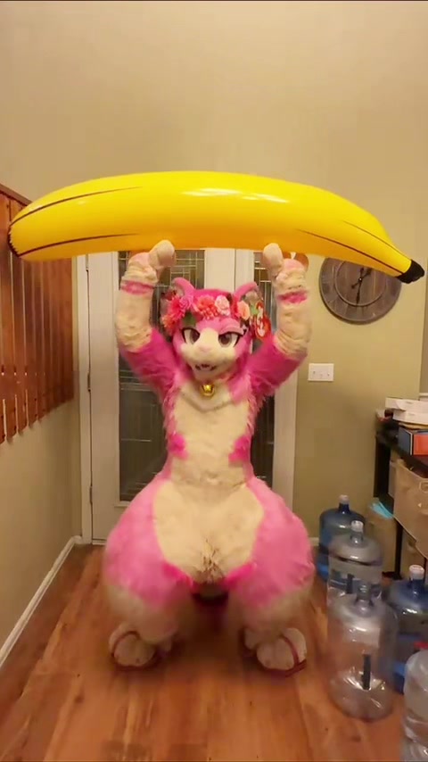 @AGayPinkCat
