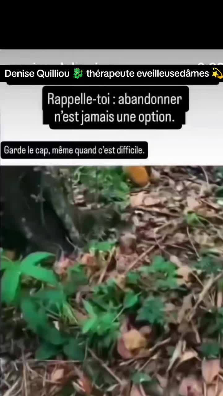 @Lauret Denise ✨🐉✨