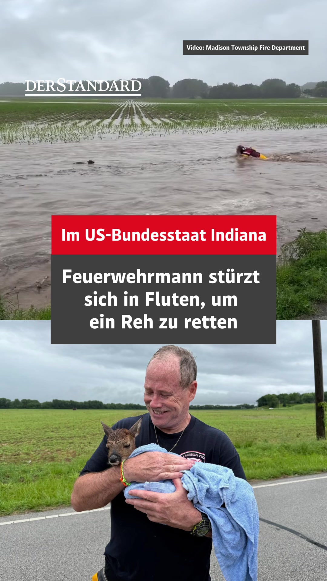 @DER STANDARD News