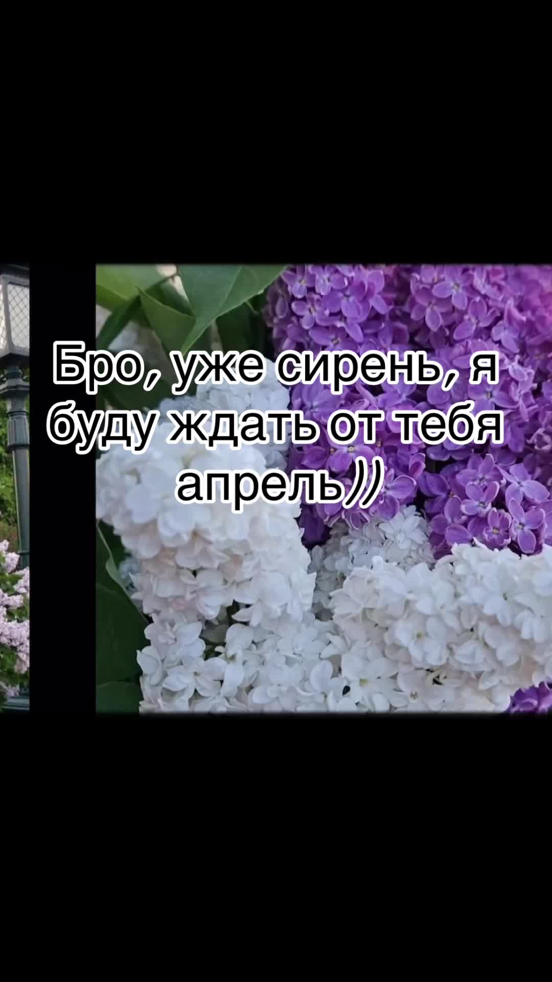 @Sasha777
