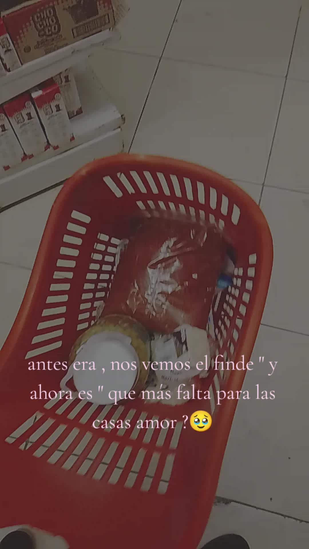 @Priscila Rivolta