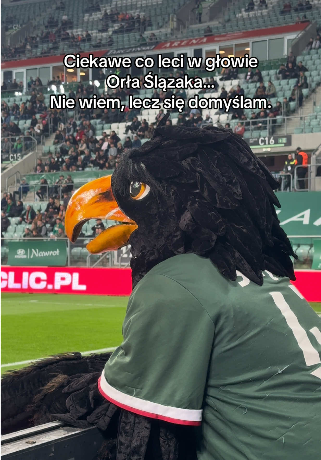 @Śląsknet