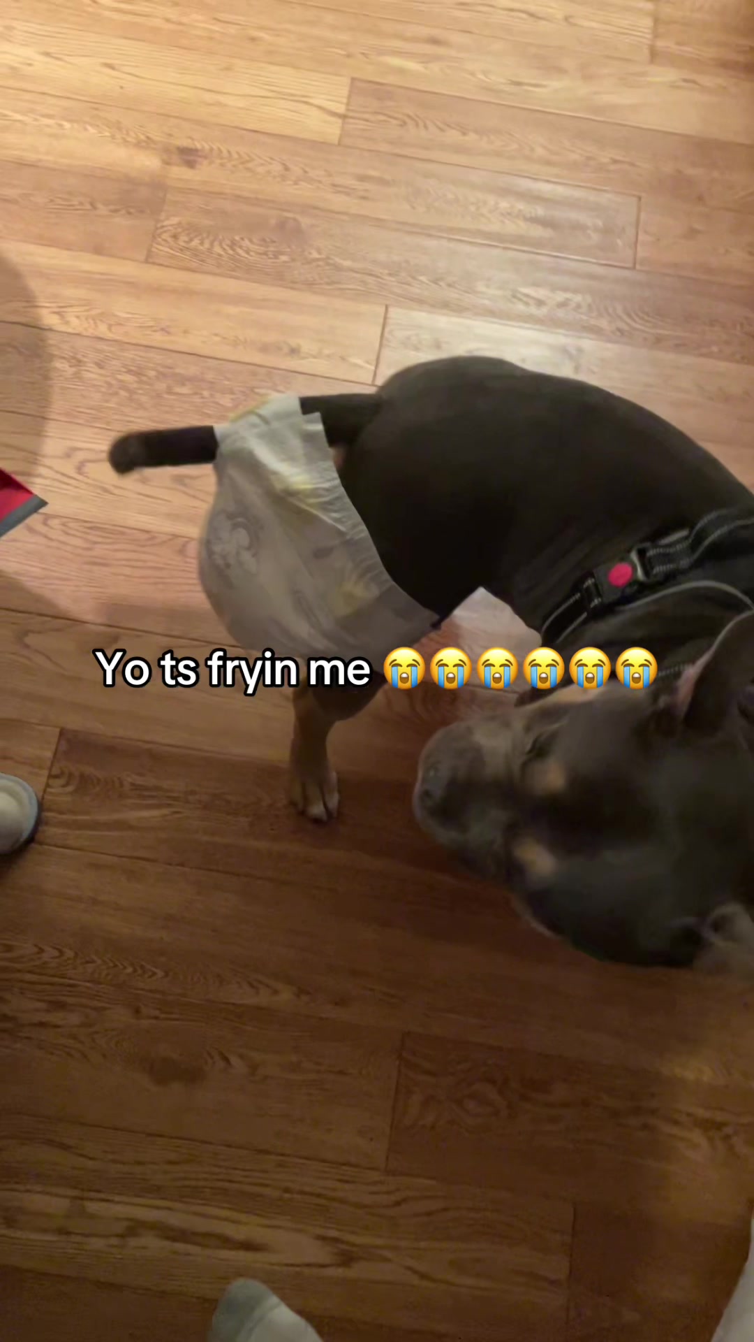 @JordanNotFunny