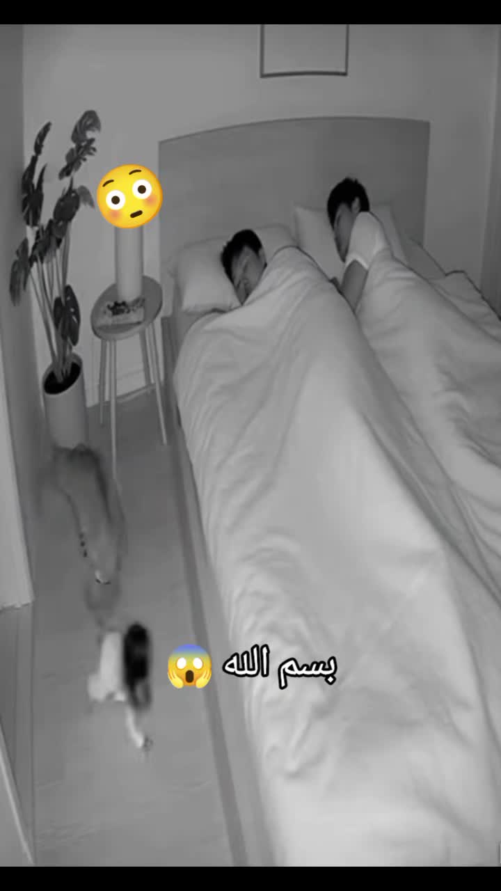 @๐น๐ฆุงูู
ุบุงู
ุฑ ูุงูุฑ ุงูุฌู๐ฆ๐น