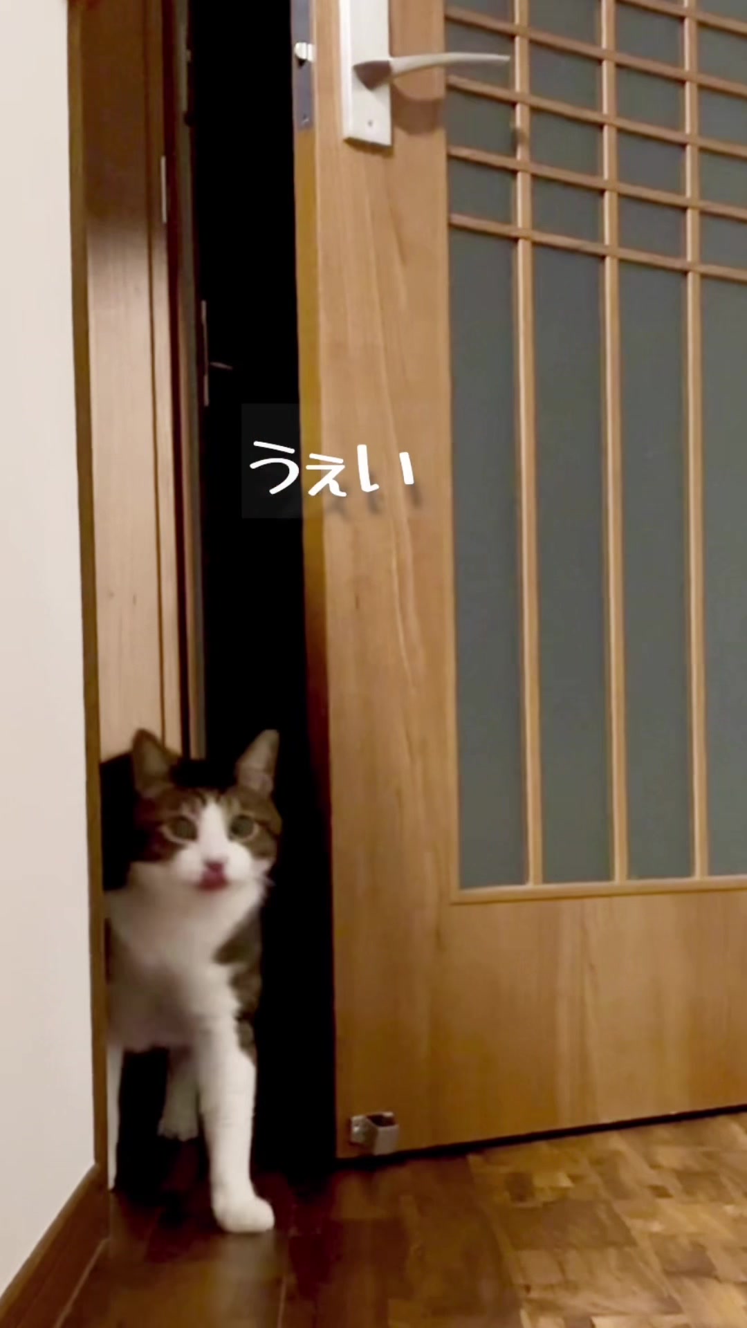 @シチサン