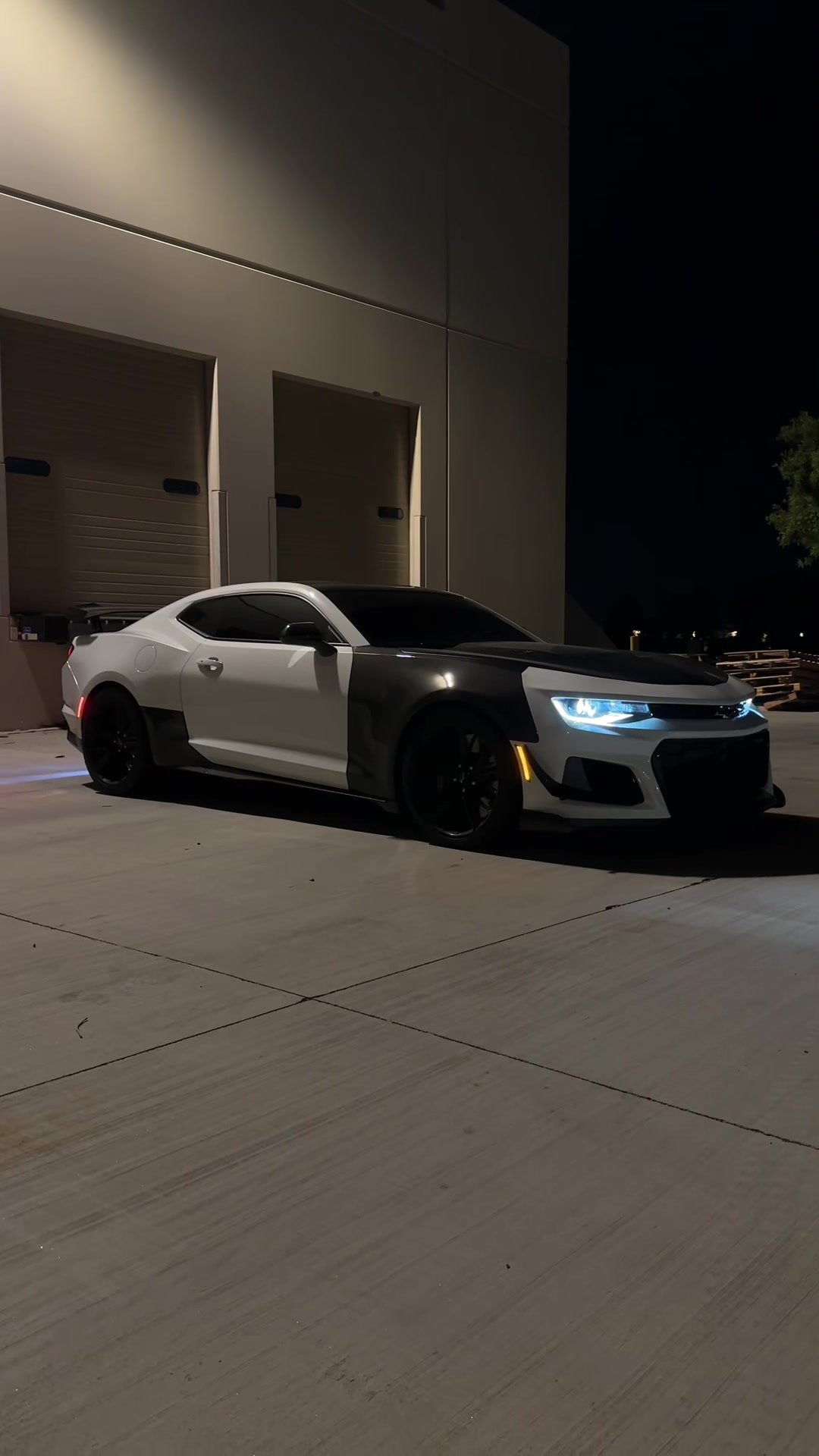 @SHHHZL1