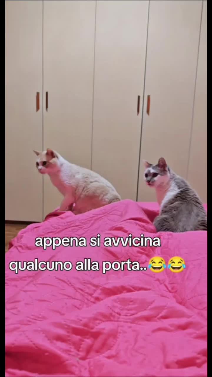 @Mimma 75๐