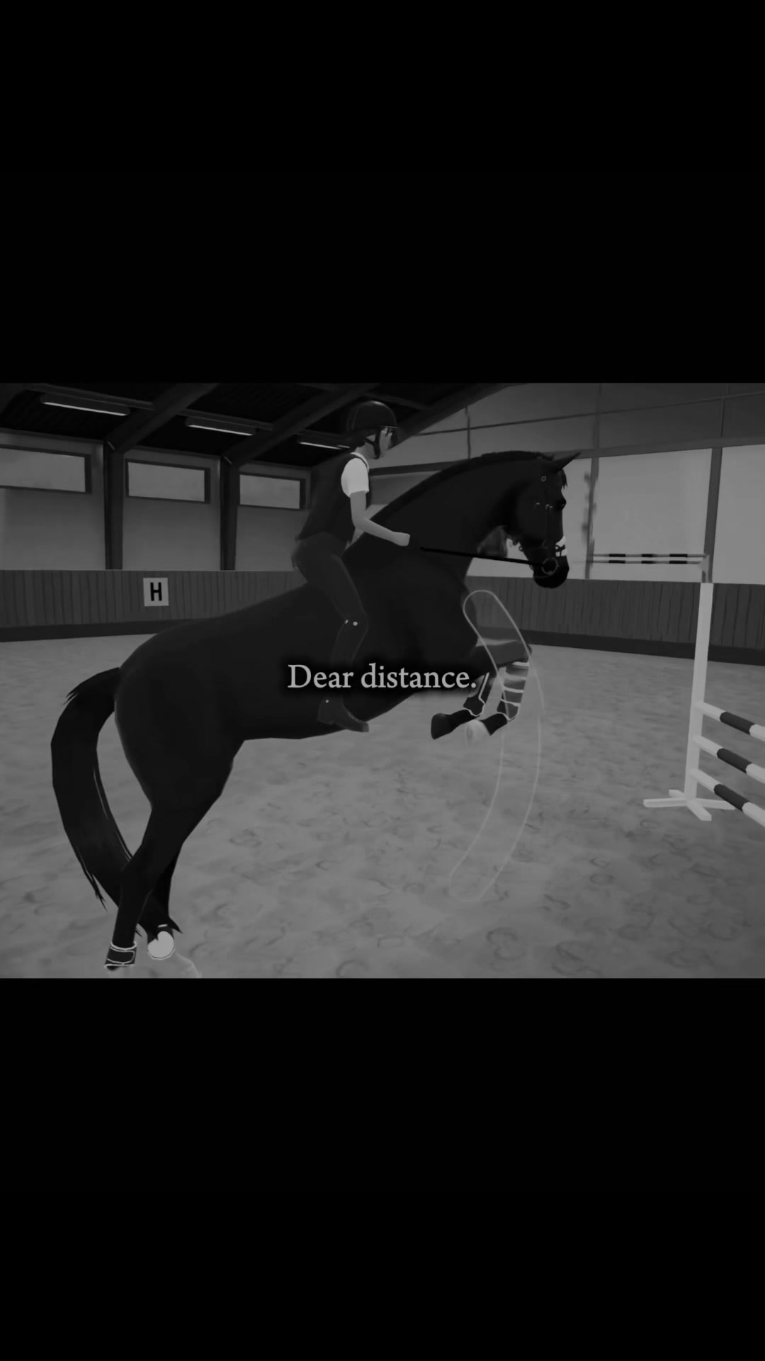 @💋etg_ allrounder_stable💋