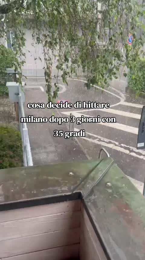 @🕸️