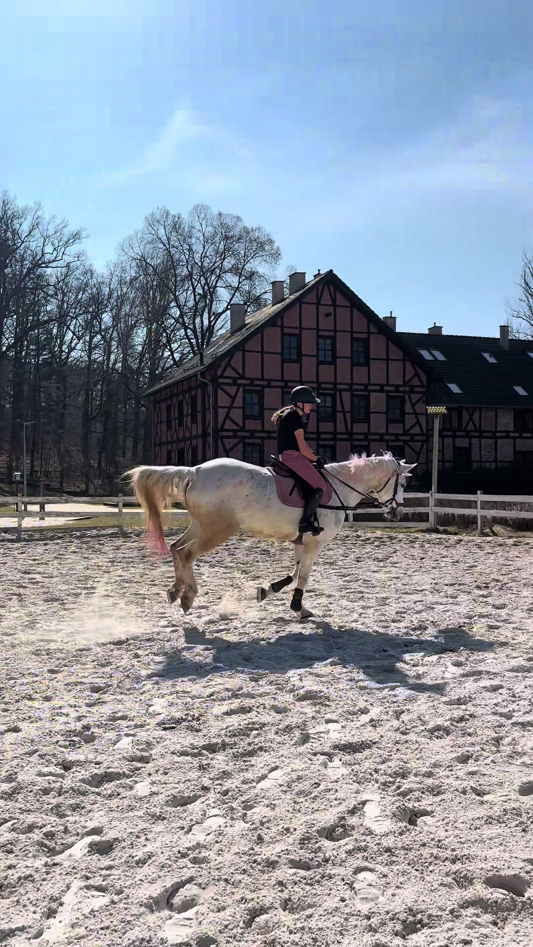 @🐴💗TA OD BELLI I ARY💗🐴