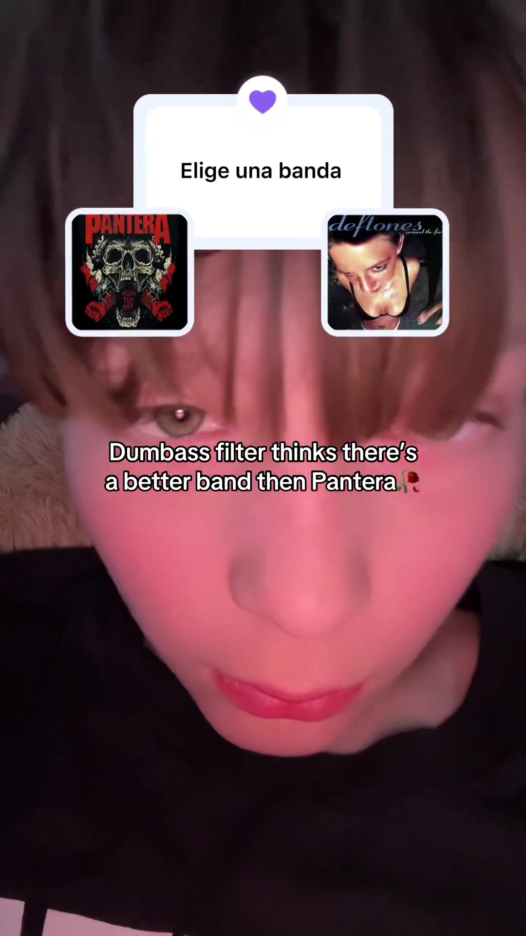 @GannonOwnsYou🖤