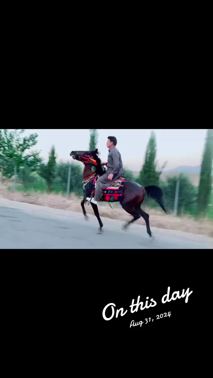 @SyamadRaswl