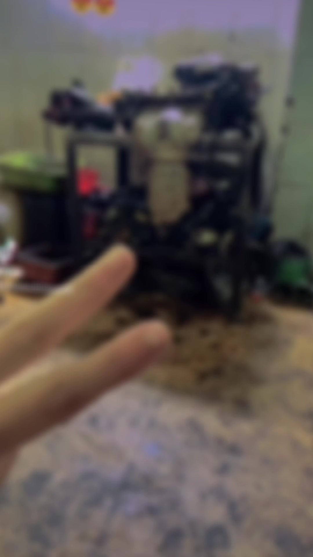 @خلود ⭐️🦅