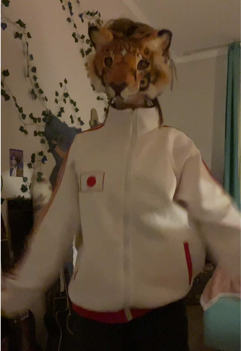 @⌁Nori🐅🐾╶⃝⃤