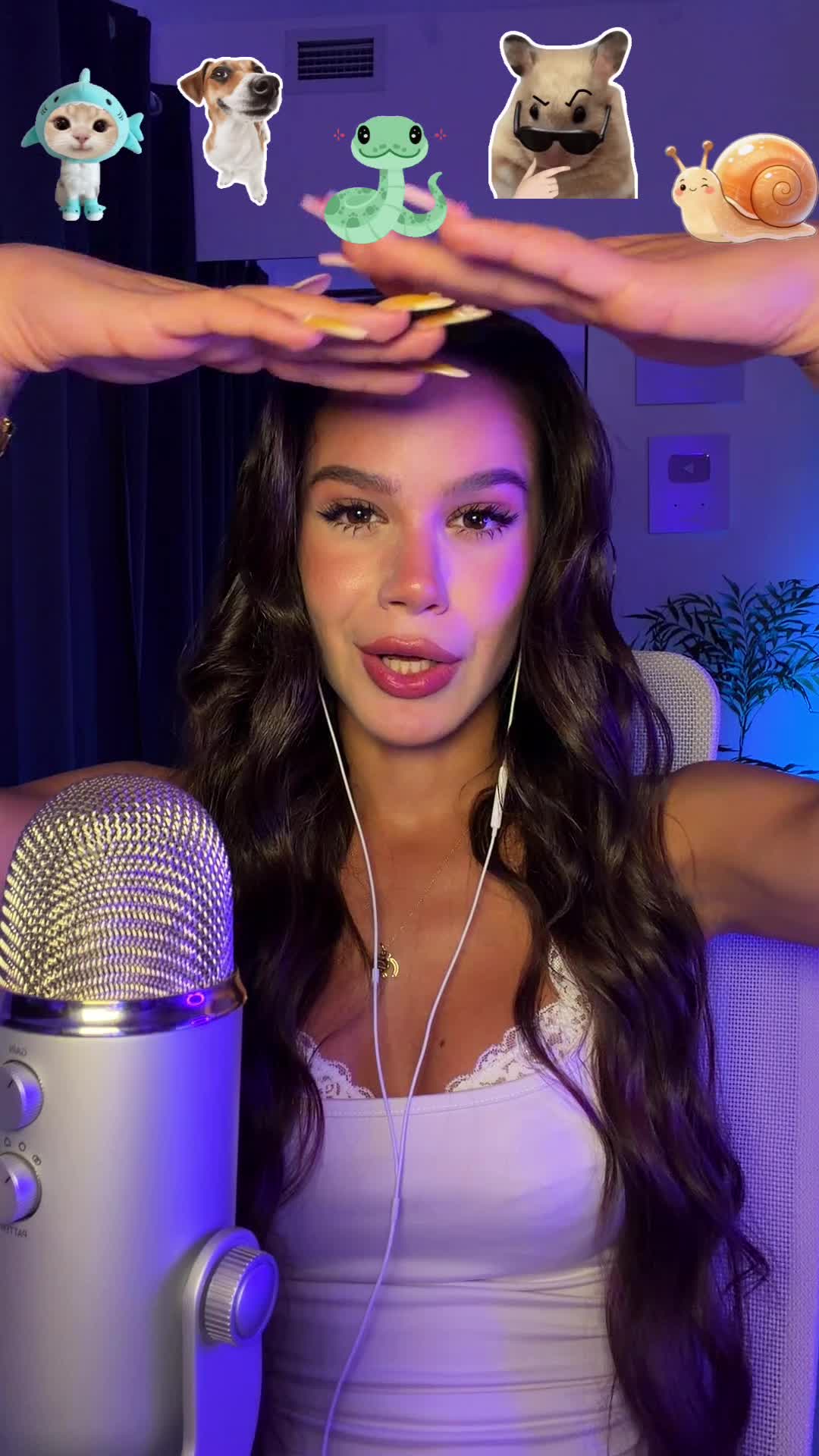 @Kaitlyn Fall Asmr 🥱💤