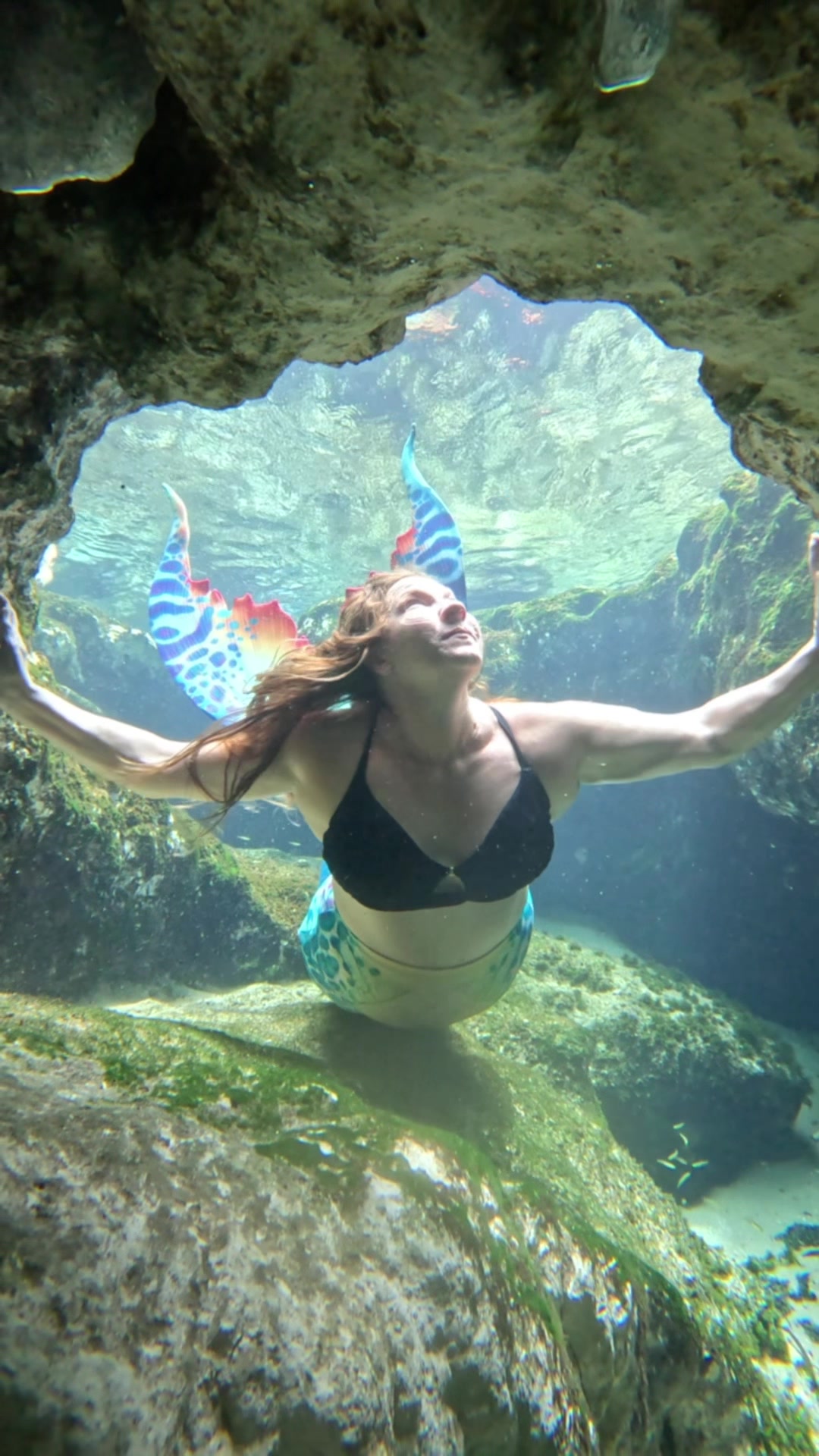 @Gulf Coast Mermaid 🧜&zwj;♀️