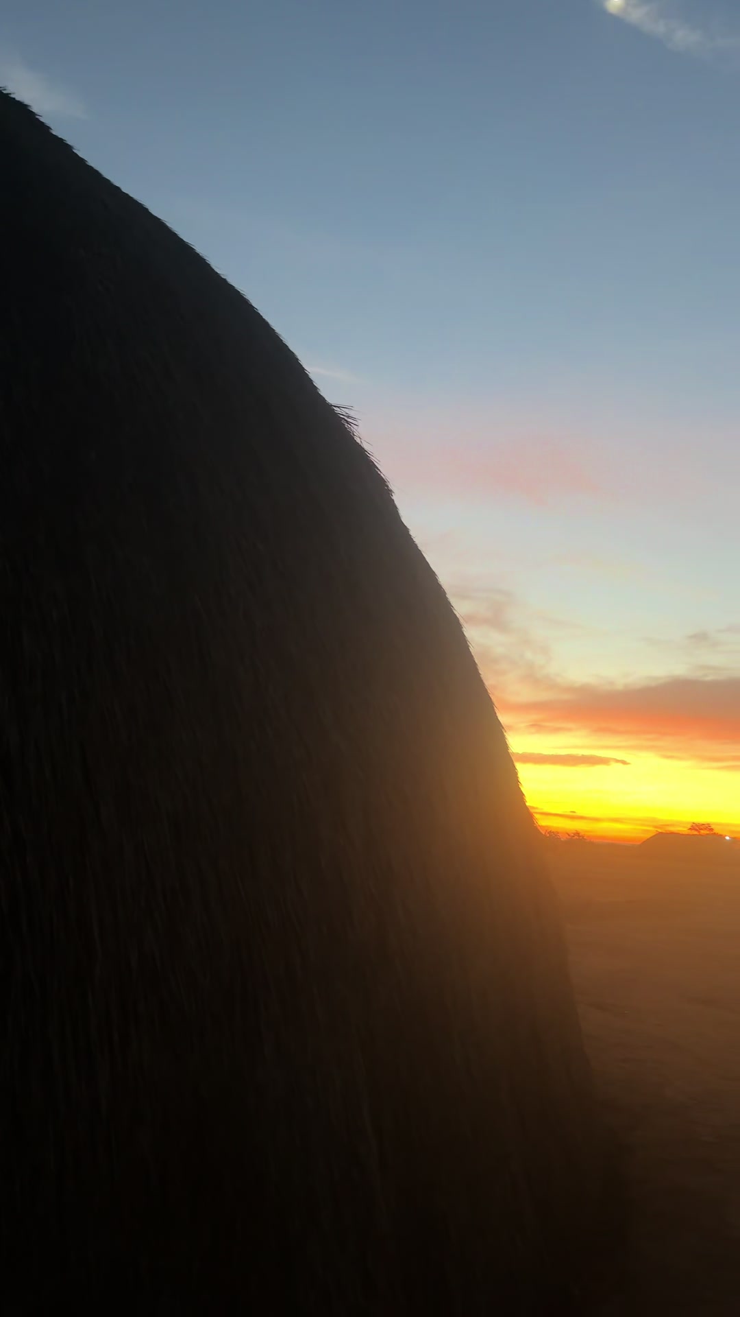 @Waihiri Yanomami
