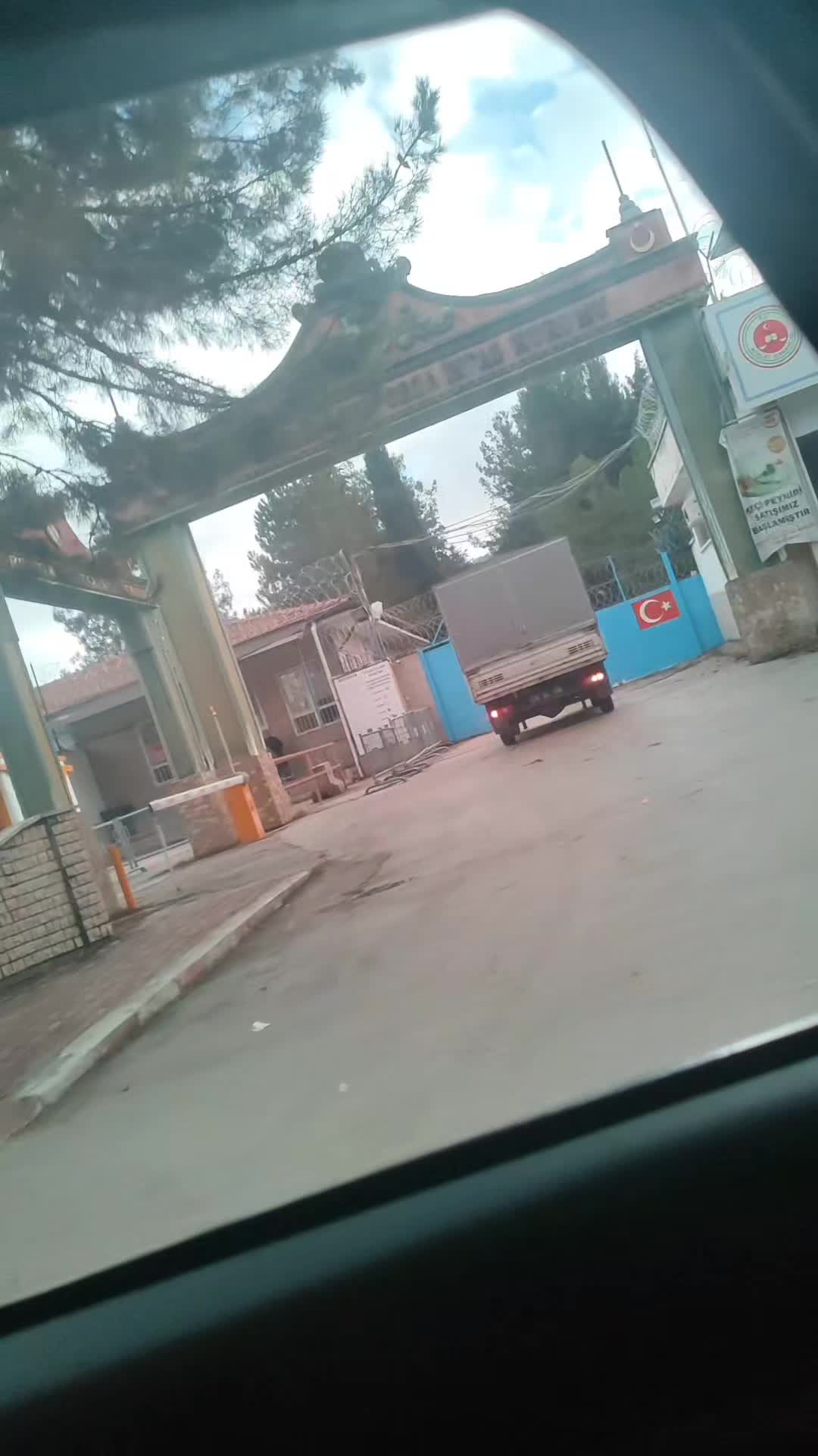 @🎲🕊️вÜŞrα🕊️🎲