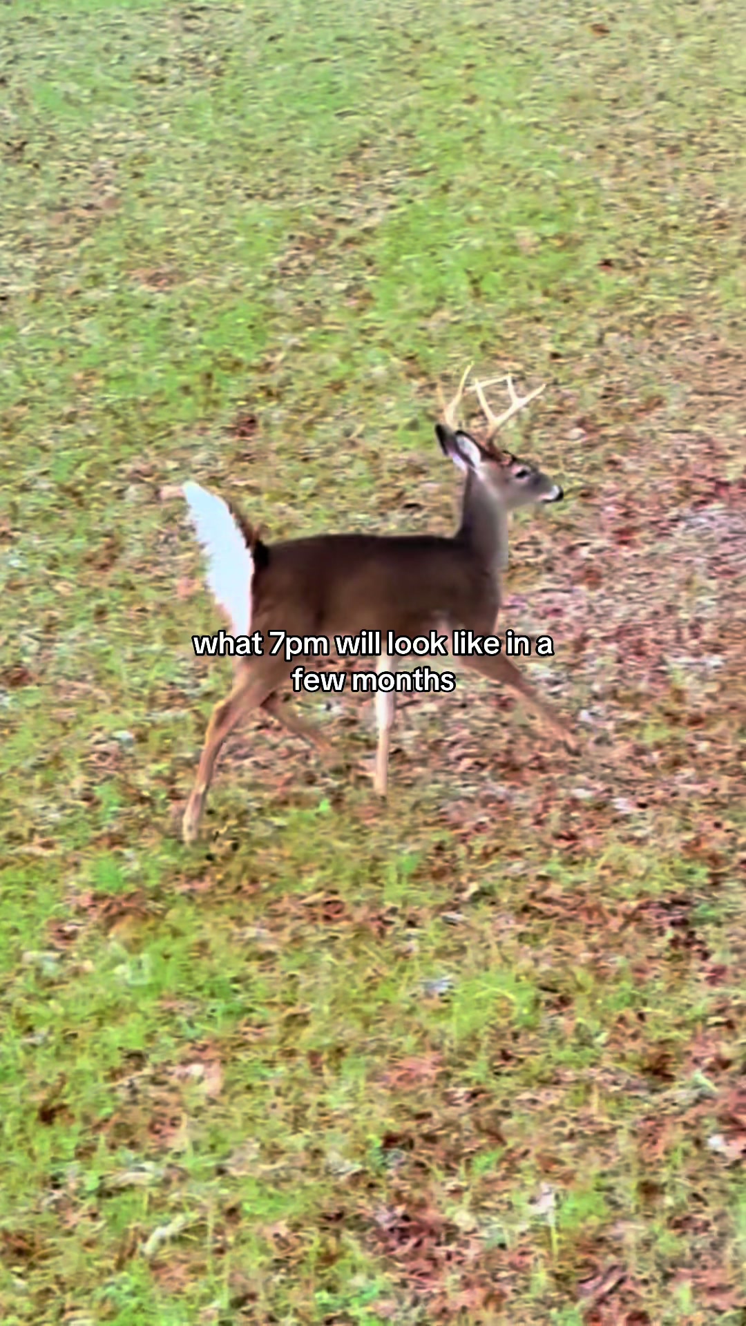 @Southeastern Outdoors