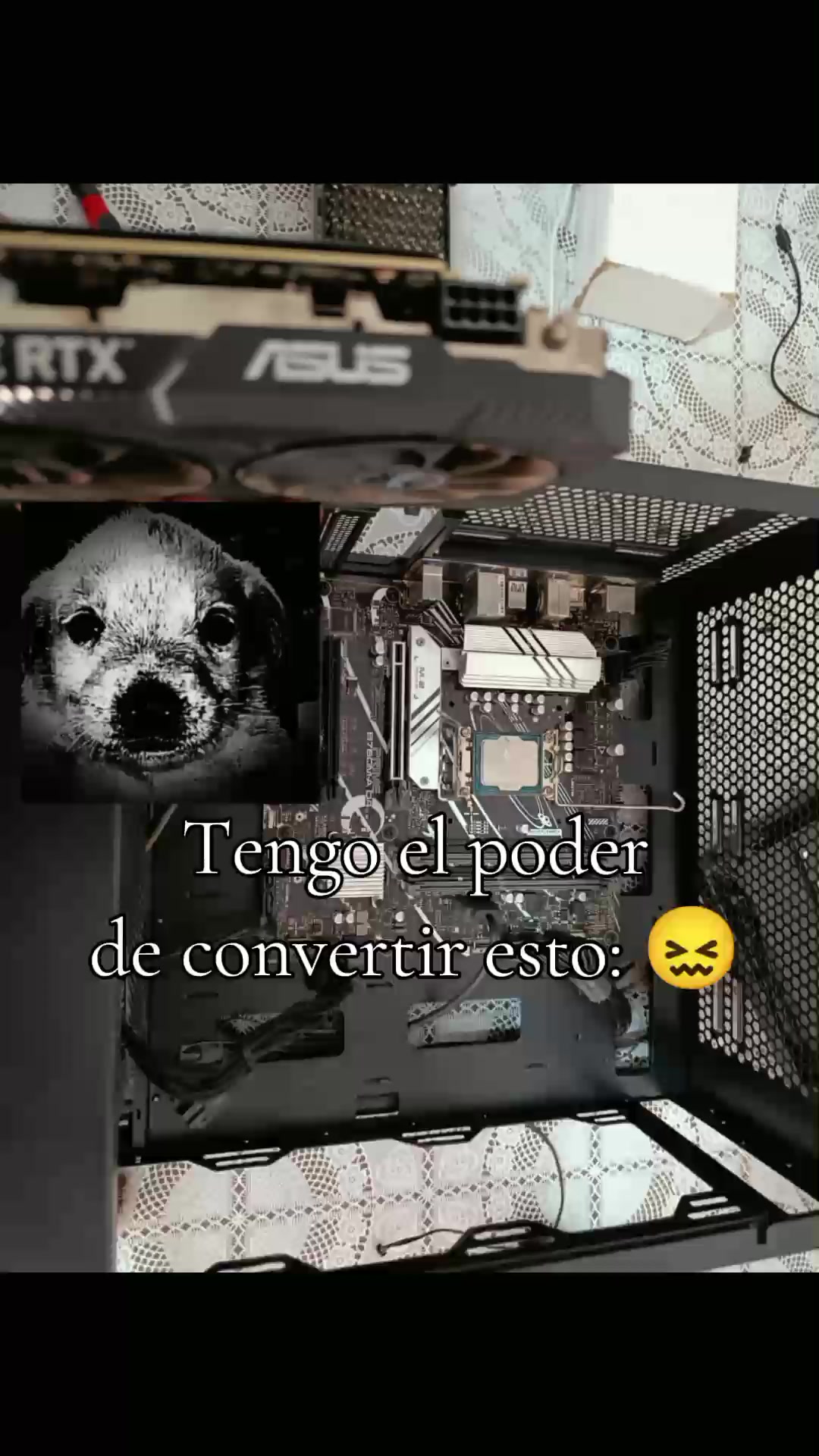 @Los de Infancia 👻