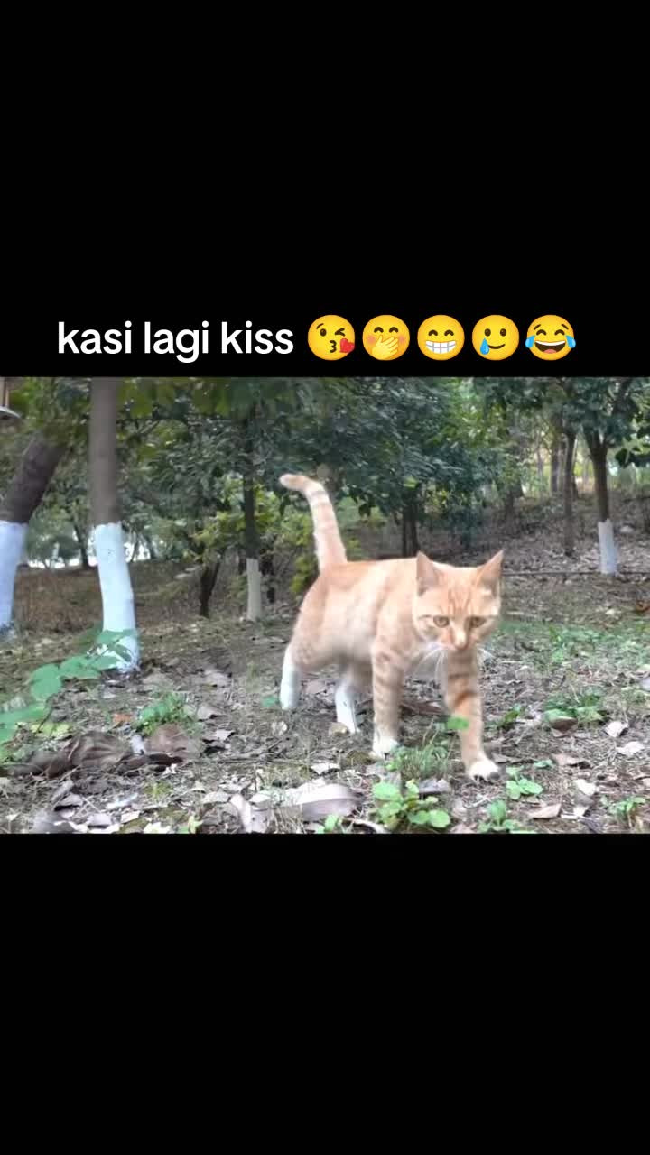 @laiba Rani 109