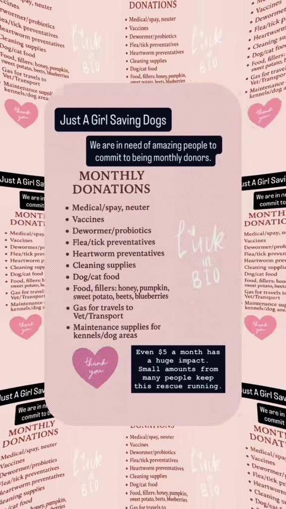 @Just A Girl Saving Dogs