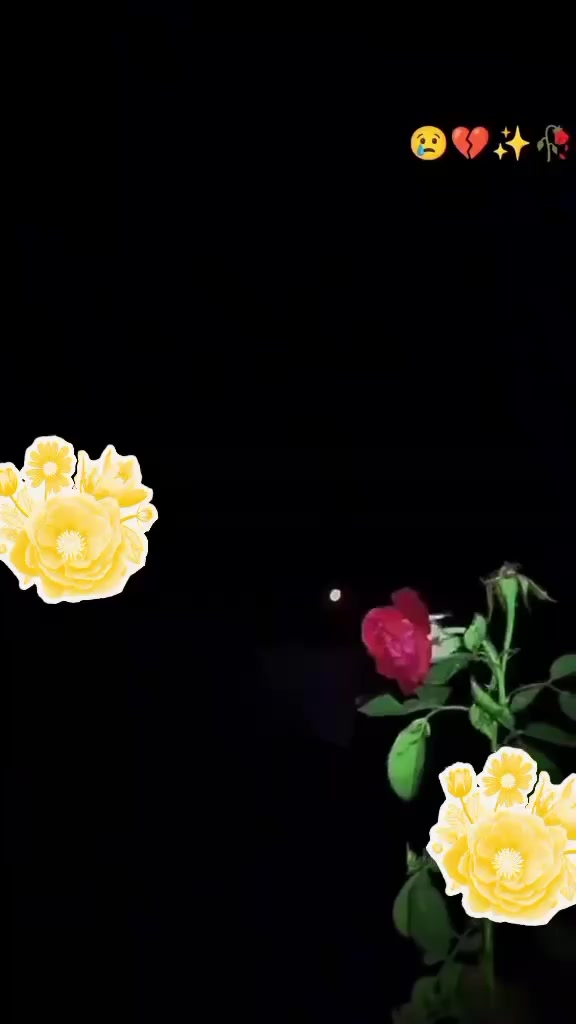 @Mehwish ๐๐๐น