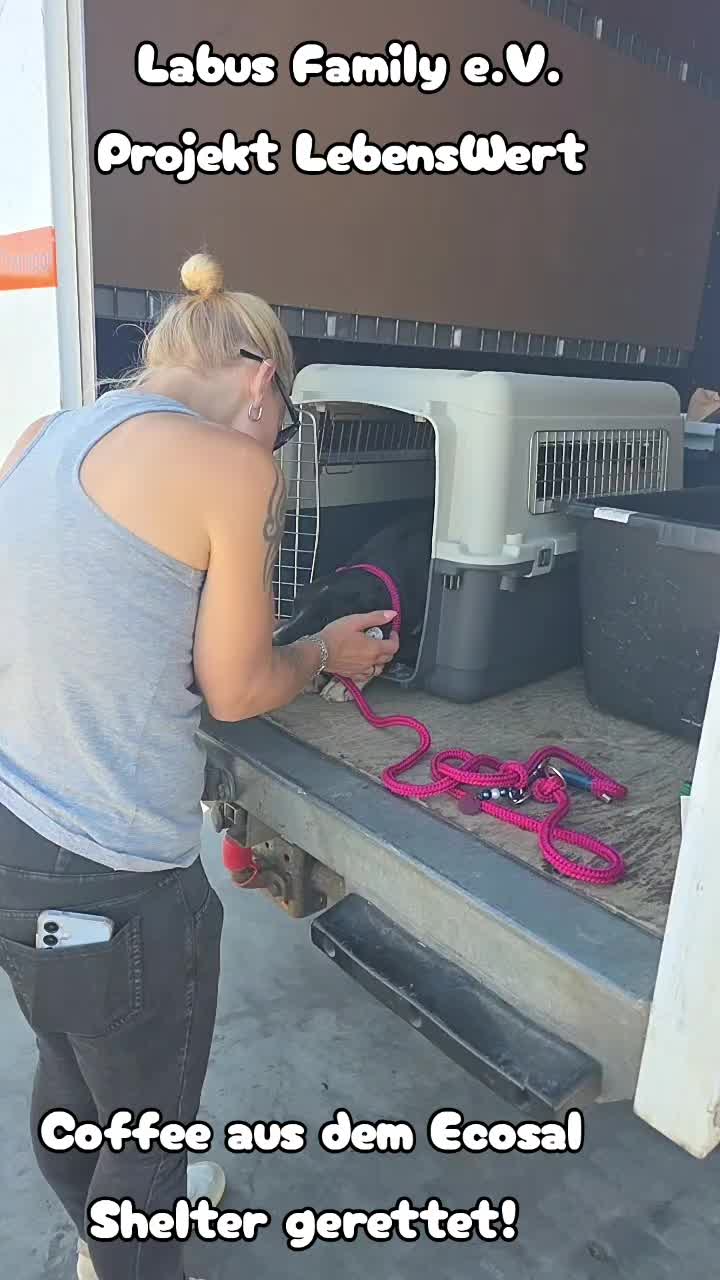 @Labus Family Shelter Animals ?