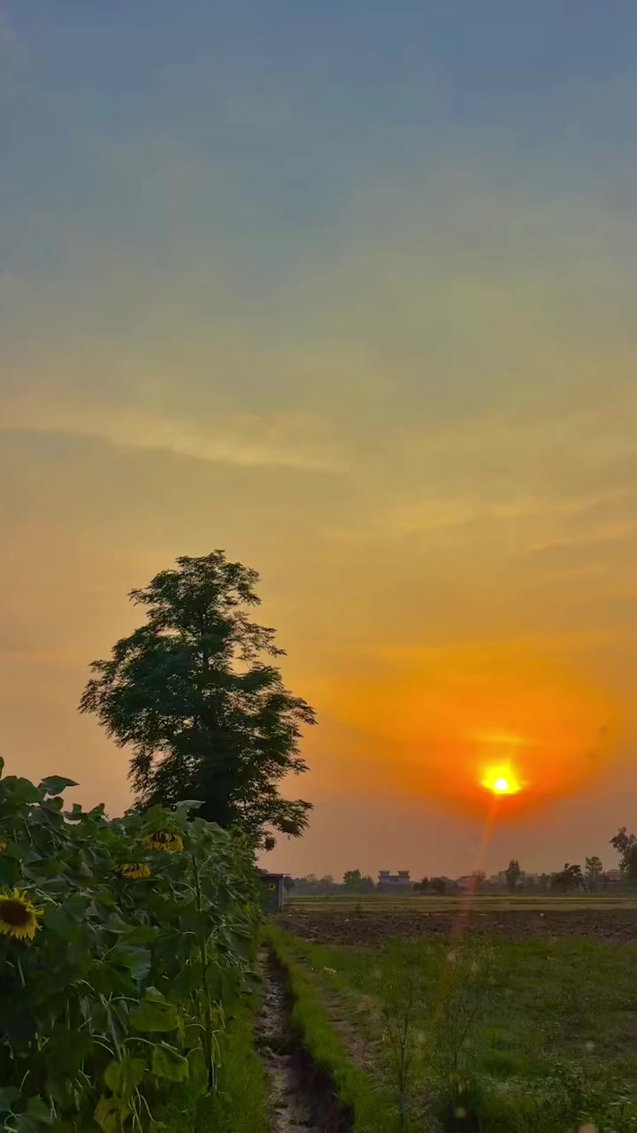 @🌹🌾☘️ پنجابی منڈا 🌸🪴🌹