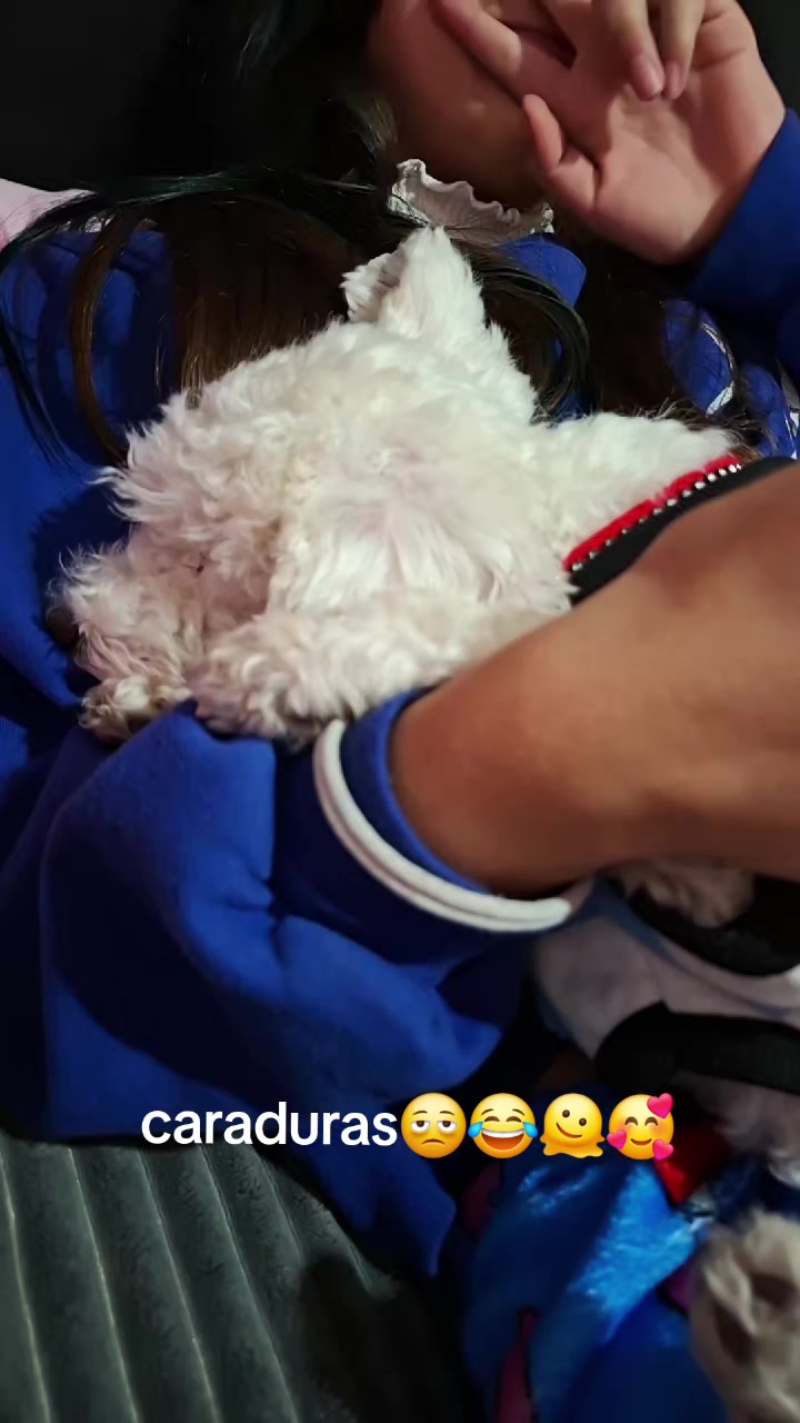 @luu Rodríguez