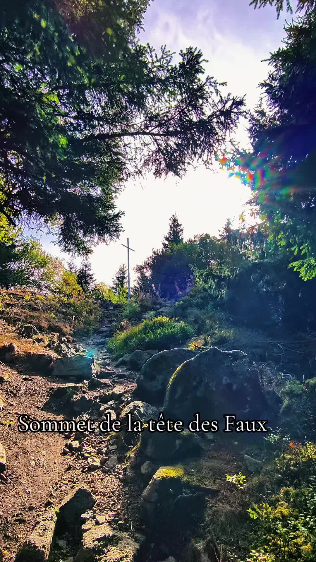 @🤫🐺🇫🇷Le vieux loup🤫🐺🇫🇷