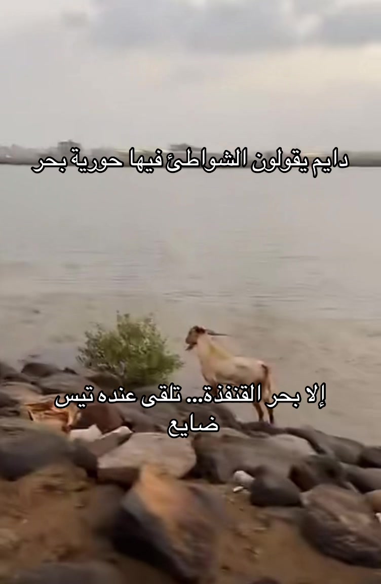 @عمر