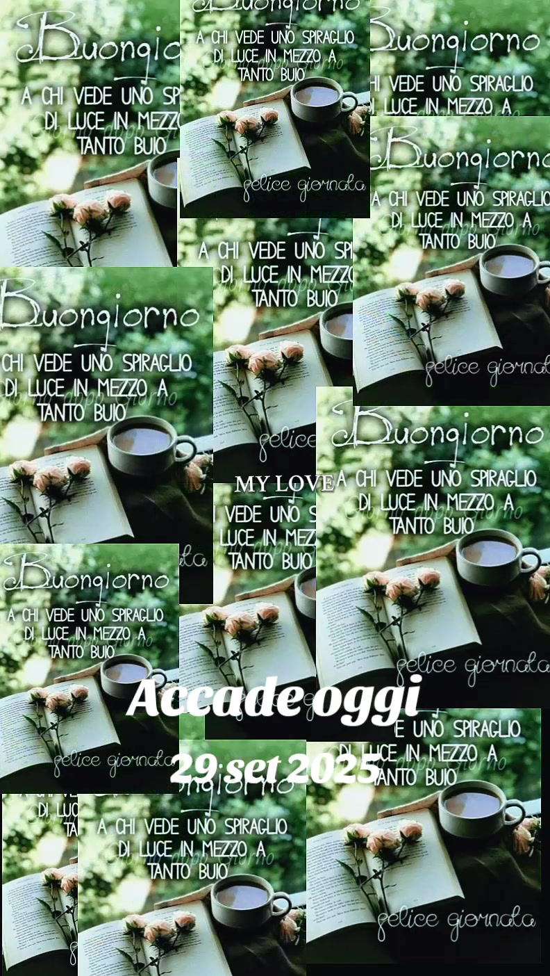 @alessandramarchi726