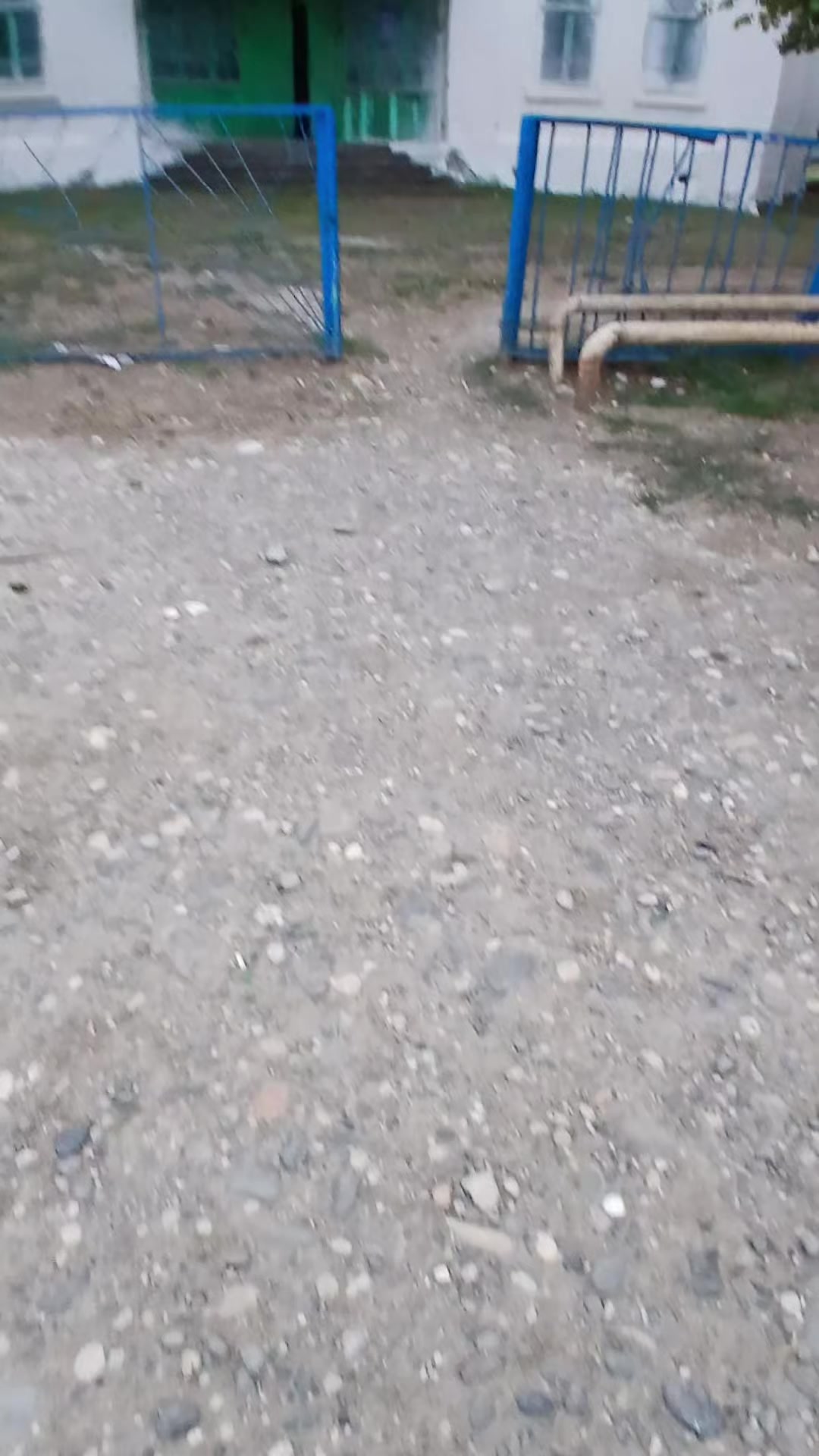 @ALEKSEYEVKA KƏND ✅