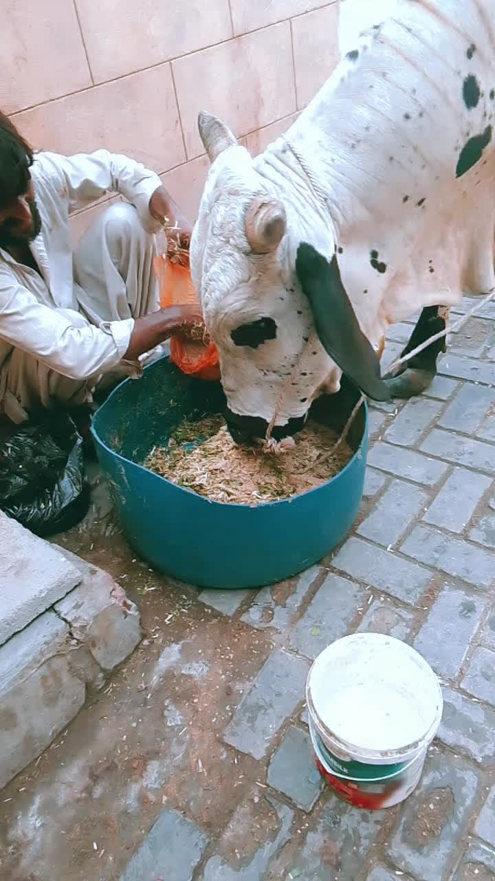 @خوشی زھرا