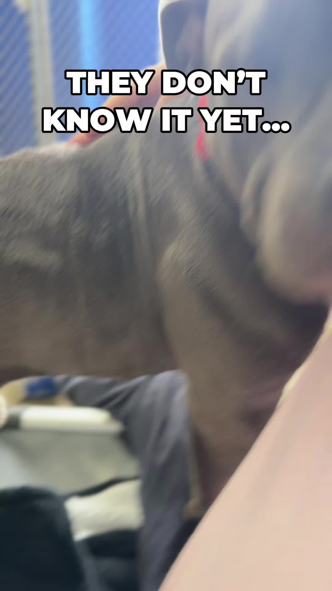 @HSWESTMI