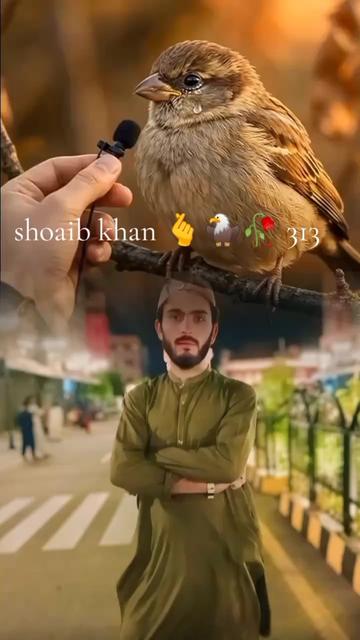 @Shoaib khan 313