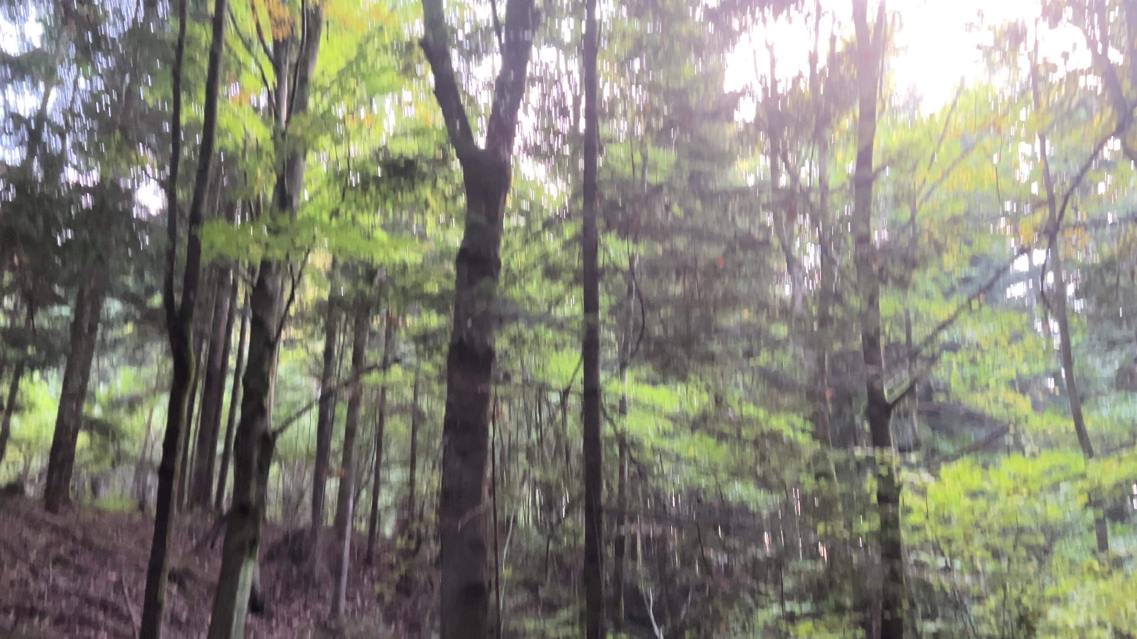 @🌲1𝔰𝔥𝔢𝔱𝔰1🌲