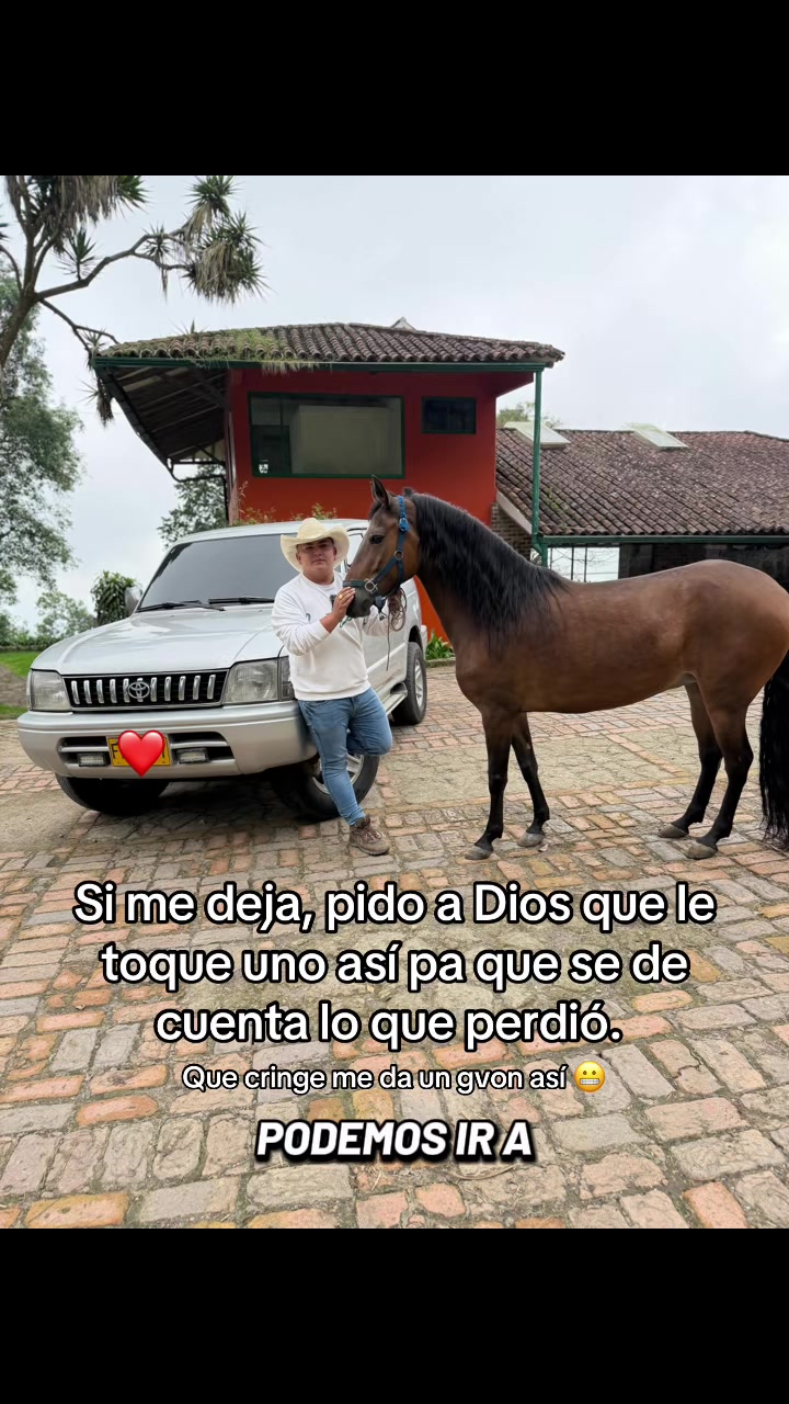 @Solo Caballos