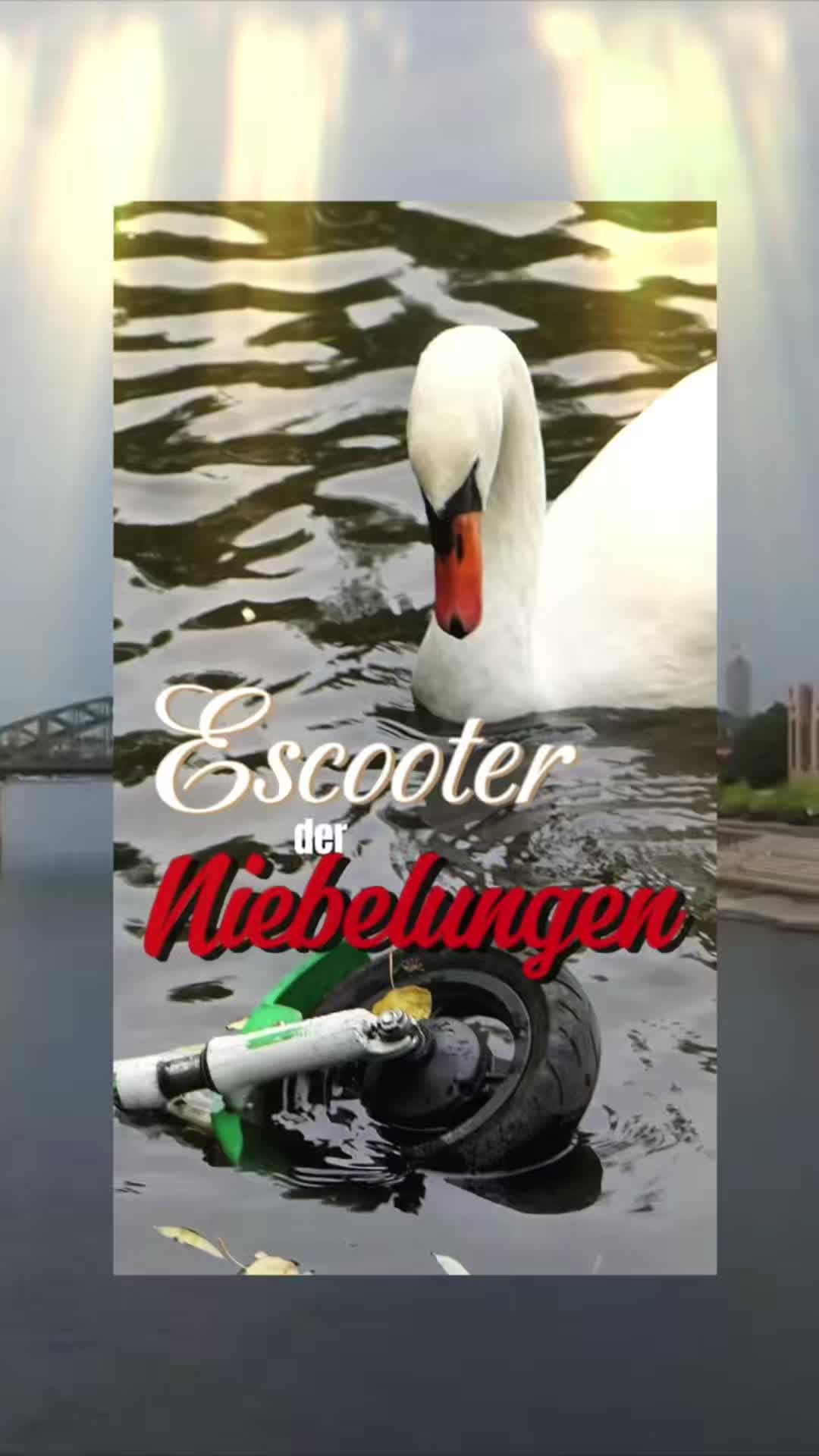 @Marius Bechen