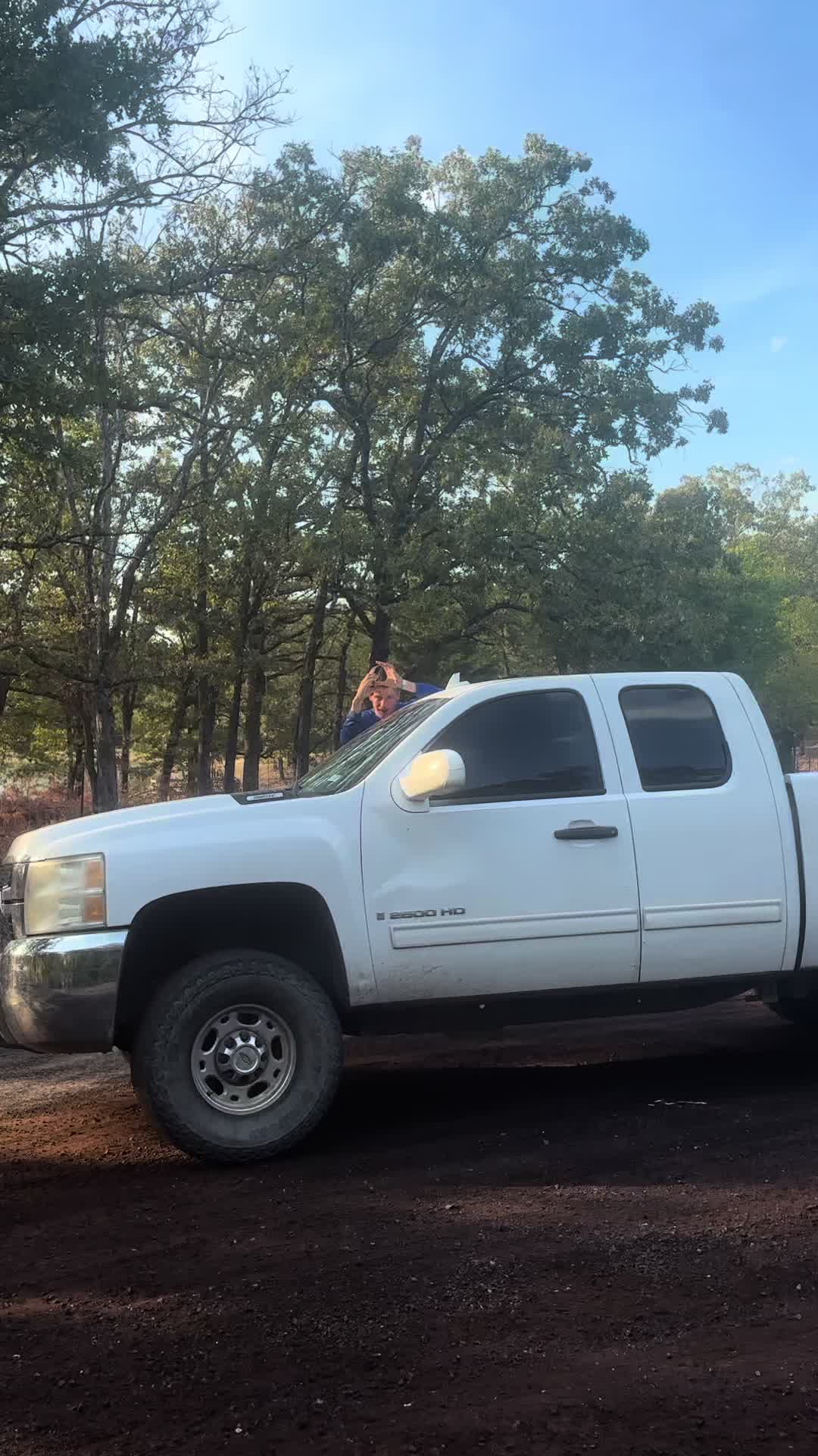 @6.0_ayden