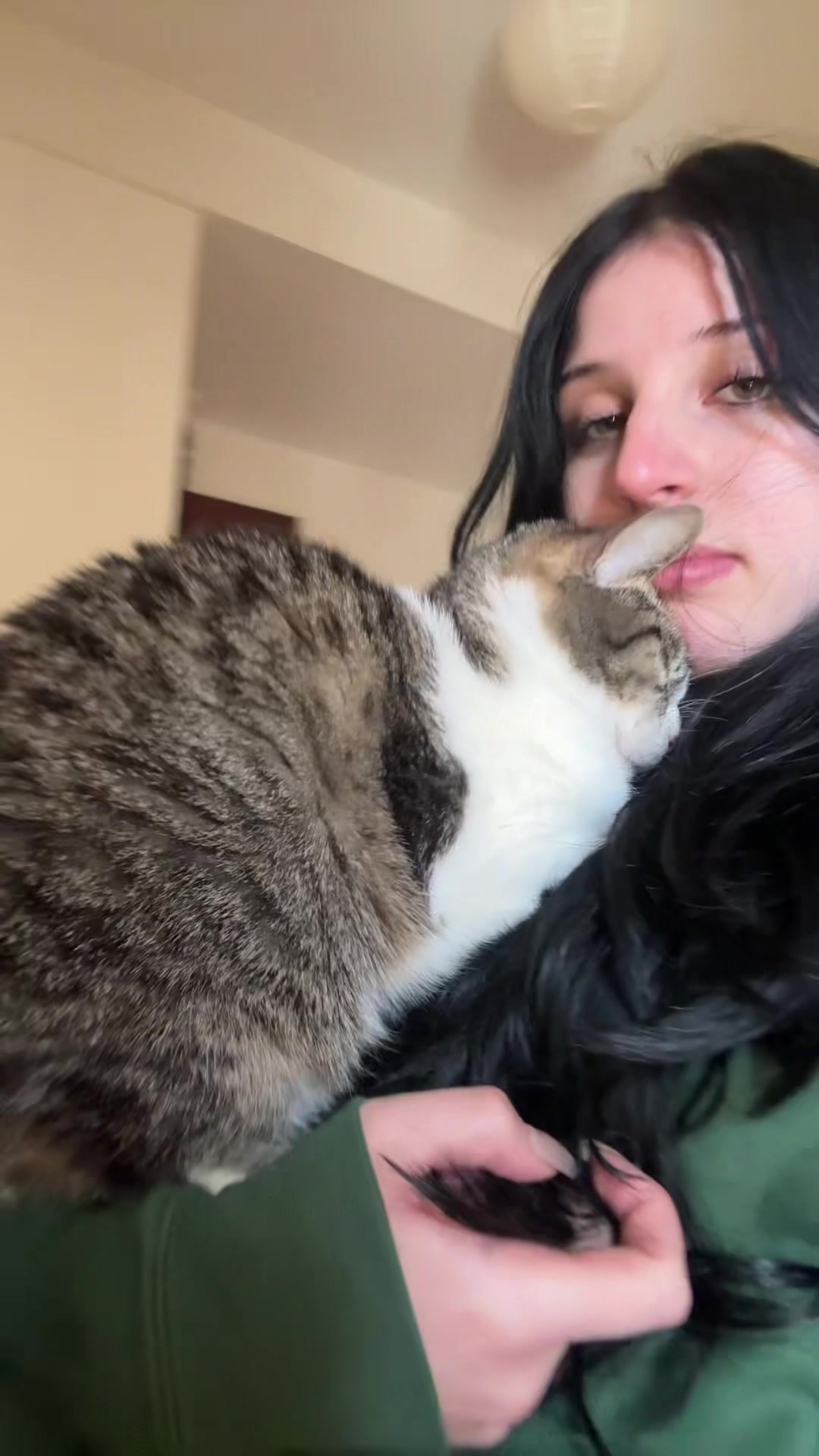 @nani 🐈&zwj;⬛